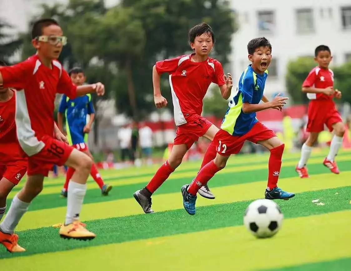 如果欧洲杯如期举行，预测世界杯冠军法国夺冠！-今日头条